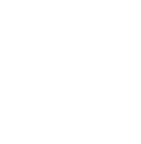 resort-icon